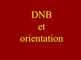 orientation et DNB.png